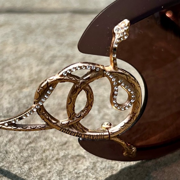 Roberto Cavalli Cicno 223S Brown Sunglasses w/ Case Statement Snake Sunglasses main image 6